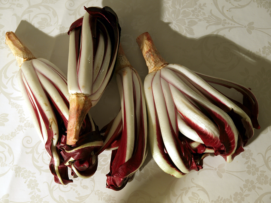 Radicchio Chicory - About Treviso B&B Le Tre Corti